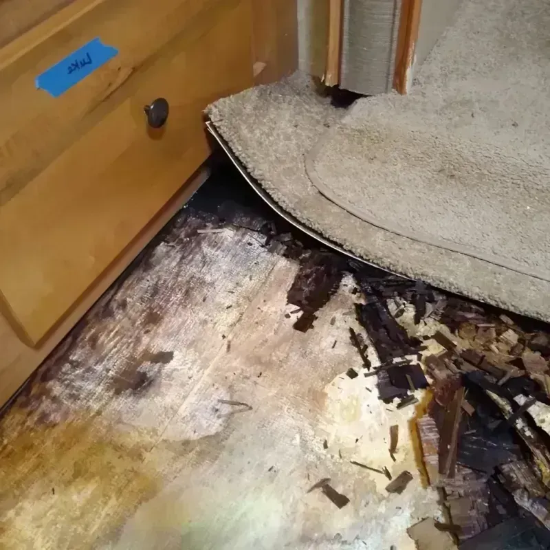 Best Wood Floor Water Damage Service in West Chester, PA